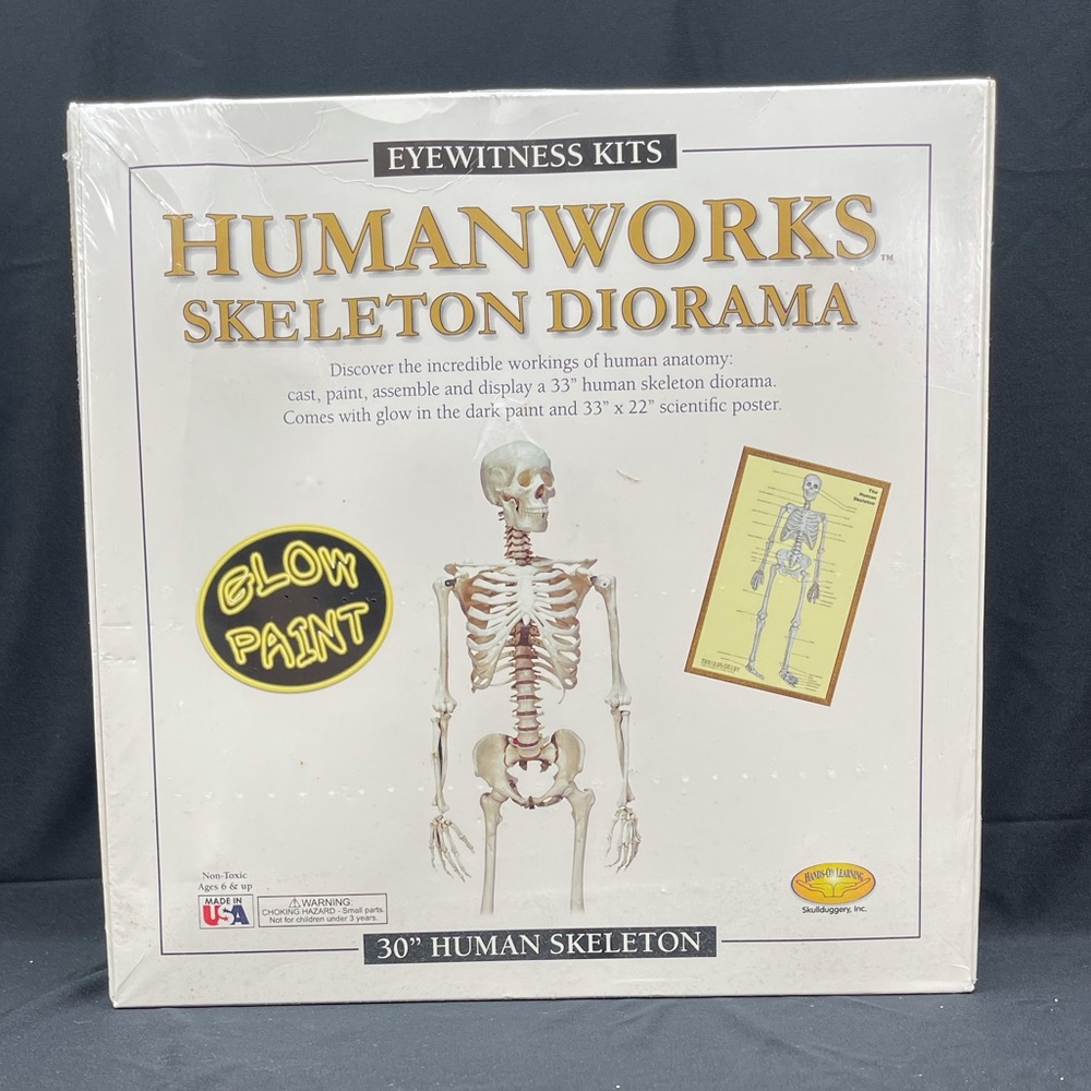 NIB - Humanworks Skeleton Diorama with glow paint by Eyewitness